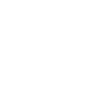 Lehto Customs